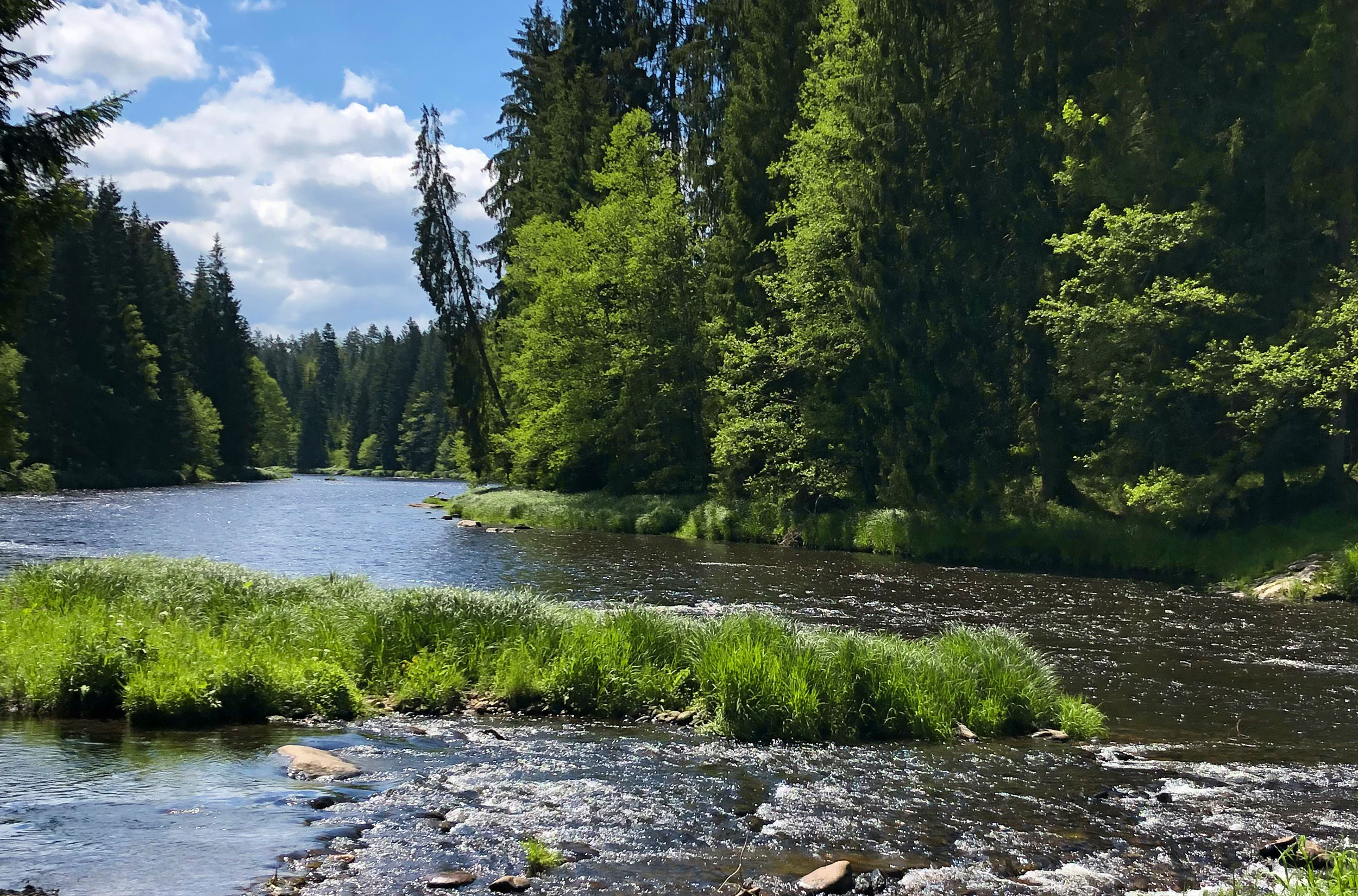 Fluß im Bayerischen Wald