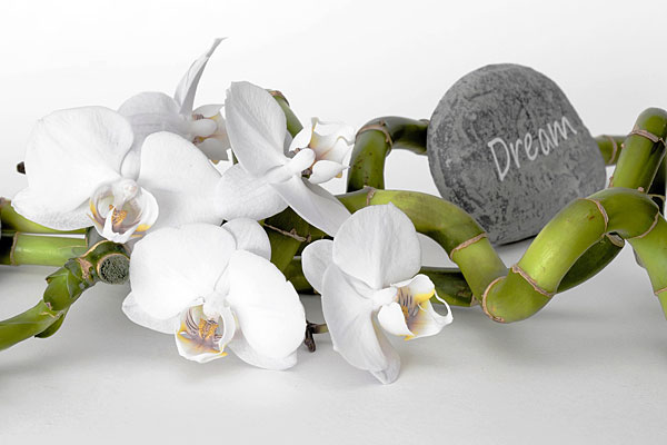 Wellnessurlaub auf dem Bauernhof im Bayerischen Wald